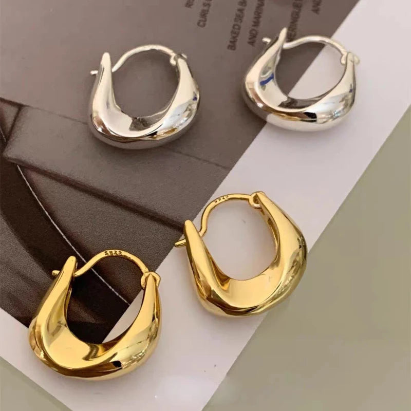 Vive Amari & Co. Gold and Silver Dual-Tone Earrings — Elegant Design for Women