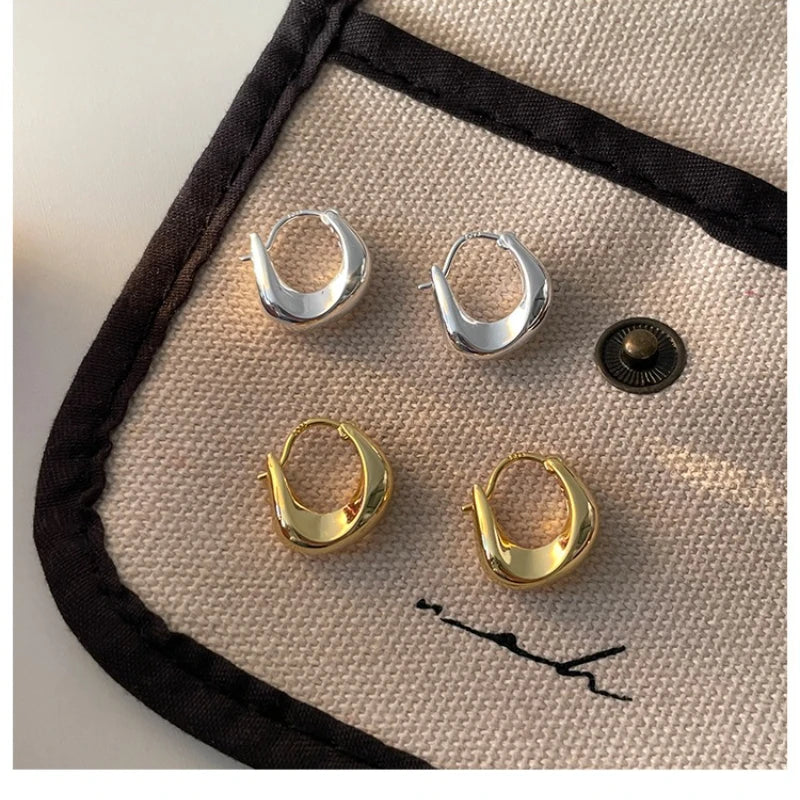 Vive Amari & Co. Gold and Silver Dual-Tone Earrings — Elegant Design for Women