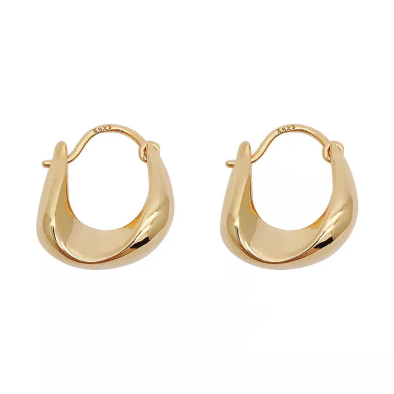 Vive Amari & Co. Gold and Silver Dual-Tone Earrings — Elegant Design for Women