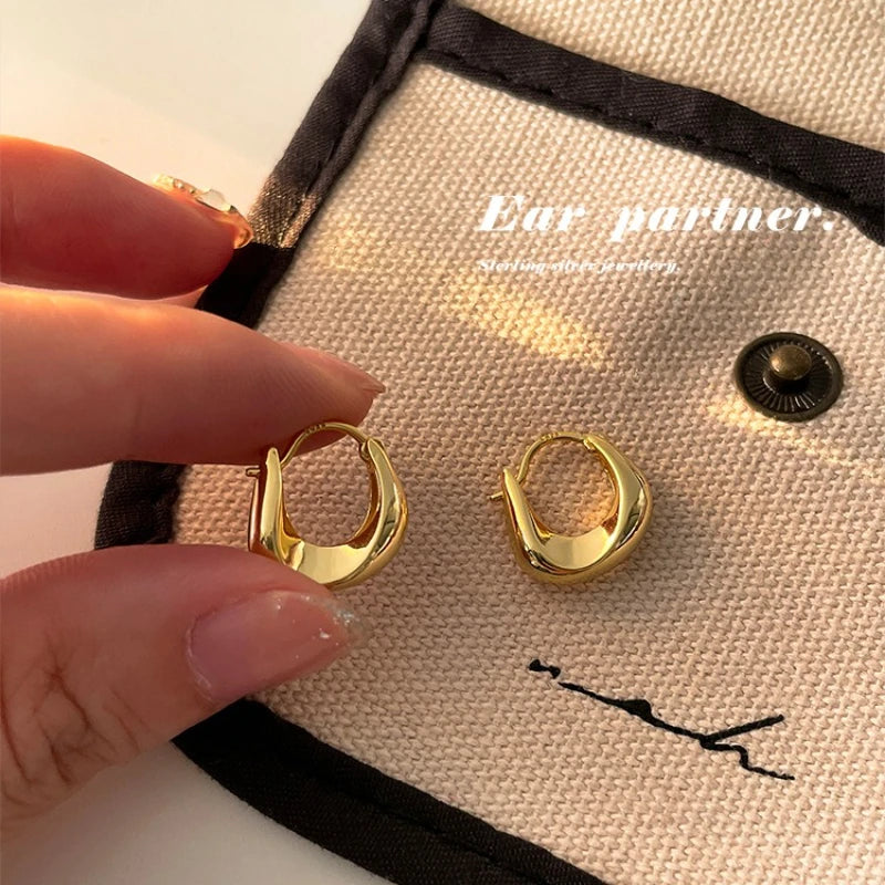 Vive Amari & Co. Gold and Silver Dual-Tone Earrings — Elegant Design for Women